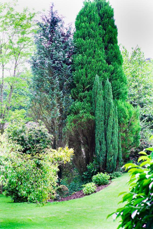 Riverside Stay Gunnislake Extérieur photo
