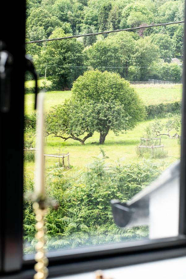 Riverside Stay Gunnislake Extérieur photo